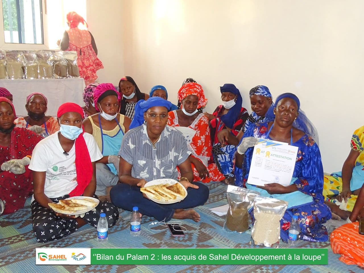 Formation et Encadrement Technique de 1000 Femmes (PALAM 2) - 1