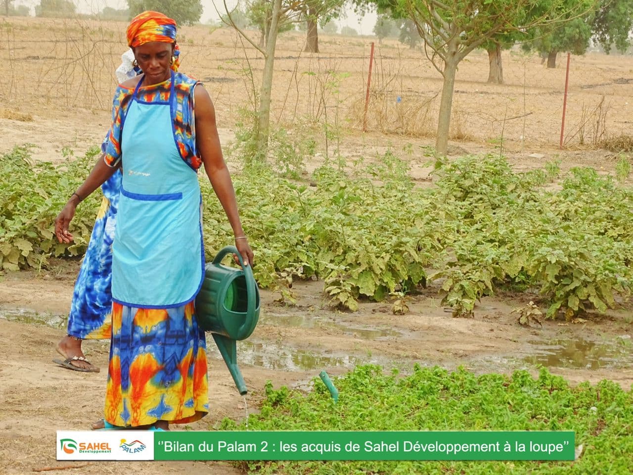 Sahel Creative Industries