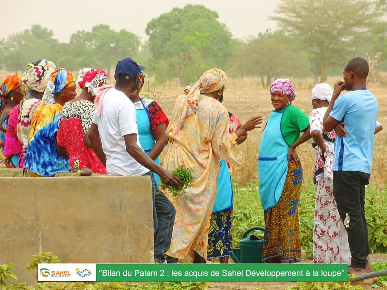 Training and Technical Supervision of 1000 Women (PALAM 2) - 2